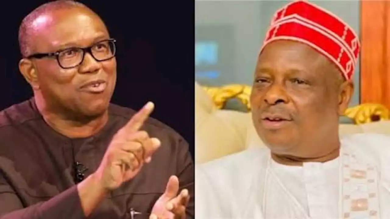 Kwankwaso’s Camp Only Riding On Peter Obi’s Popularity; Labour Party, NNPP Merger Talks Died Over 4 Weeks Ago – Doyin Okupe | Sahara Reporters