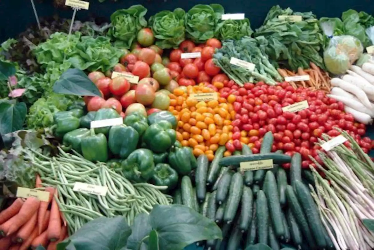 Govt committed to addressing food security issues