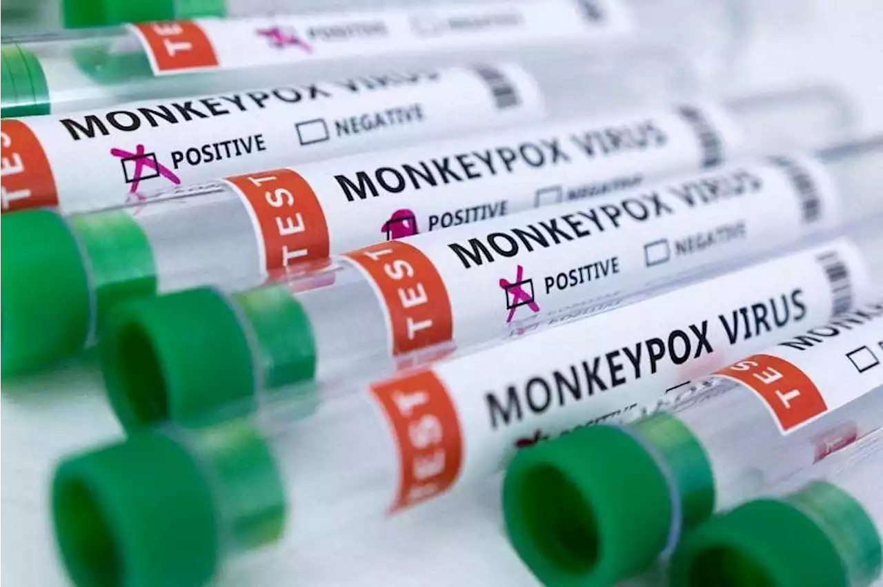 WHO to reconvene monkeypox emergency committee after over 6,000 cases reported