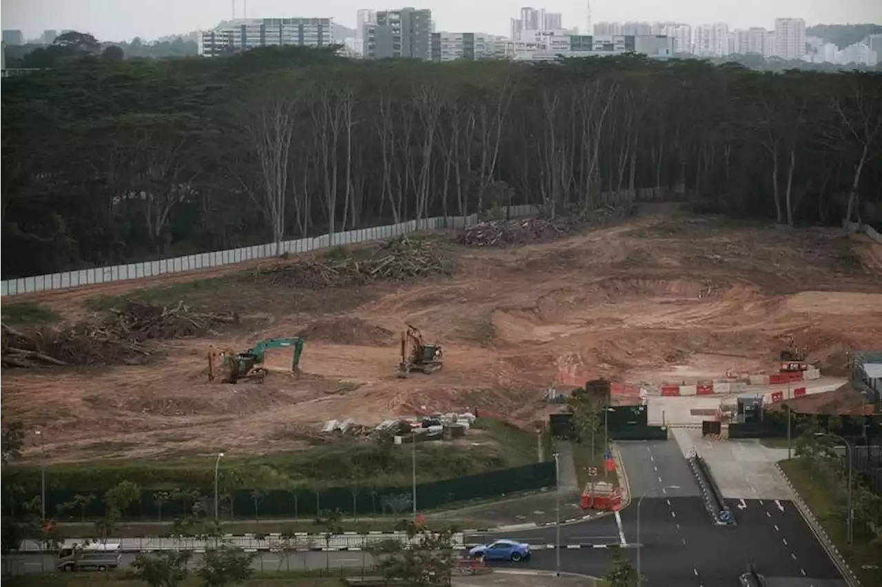 JTC tightens processes after unauthorised clearing of Kranji woodland