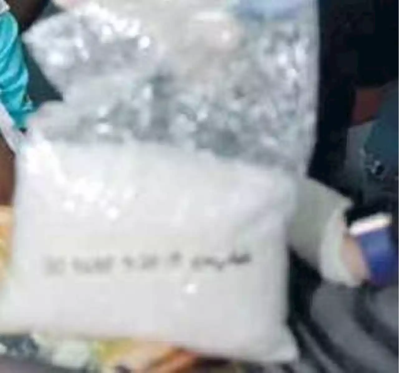 2 foreigners nabbed with P102M shabu in Manila