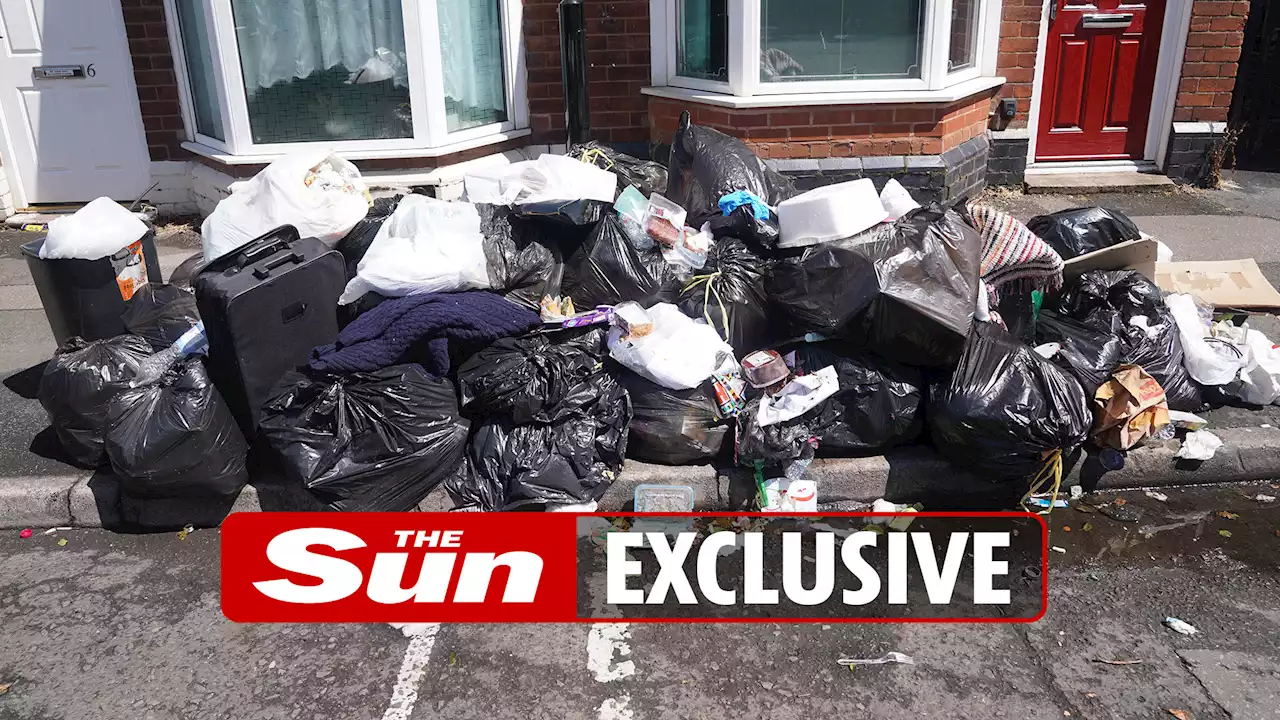 Our neighbourhood is plagued by RATS after fly-tippers dumped 100 TONS of rubbish