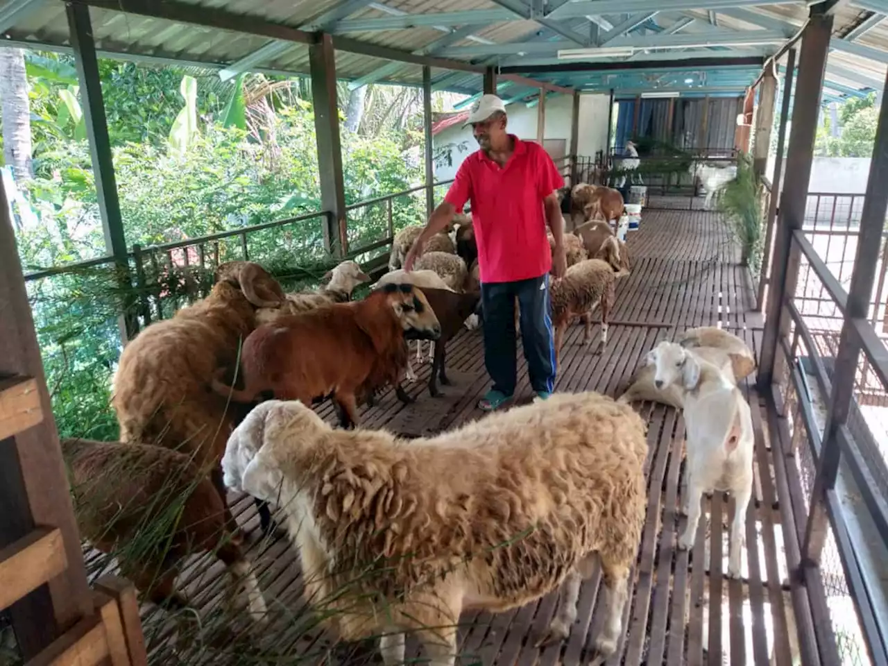 Kibas pesara polis ‘laku keras’ menjelang Aidiladha