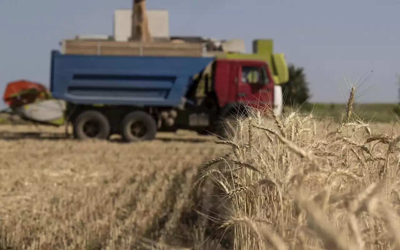 Russia-Ukraine war: Russia forced to leave troops behind after suffering huge losses