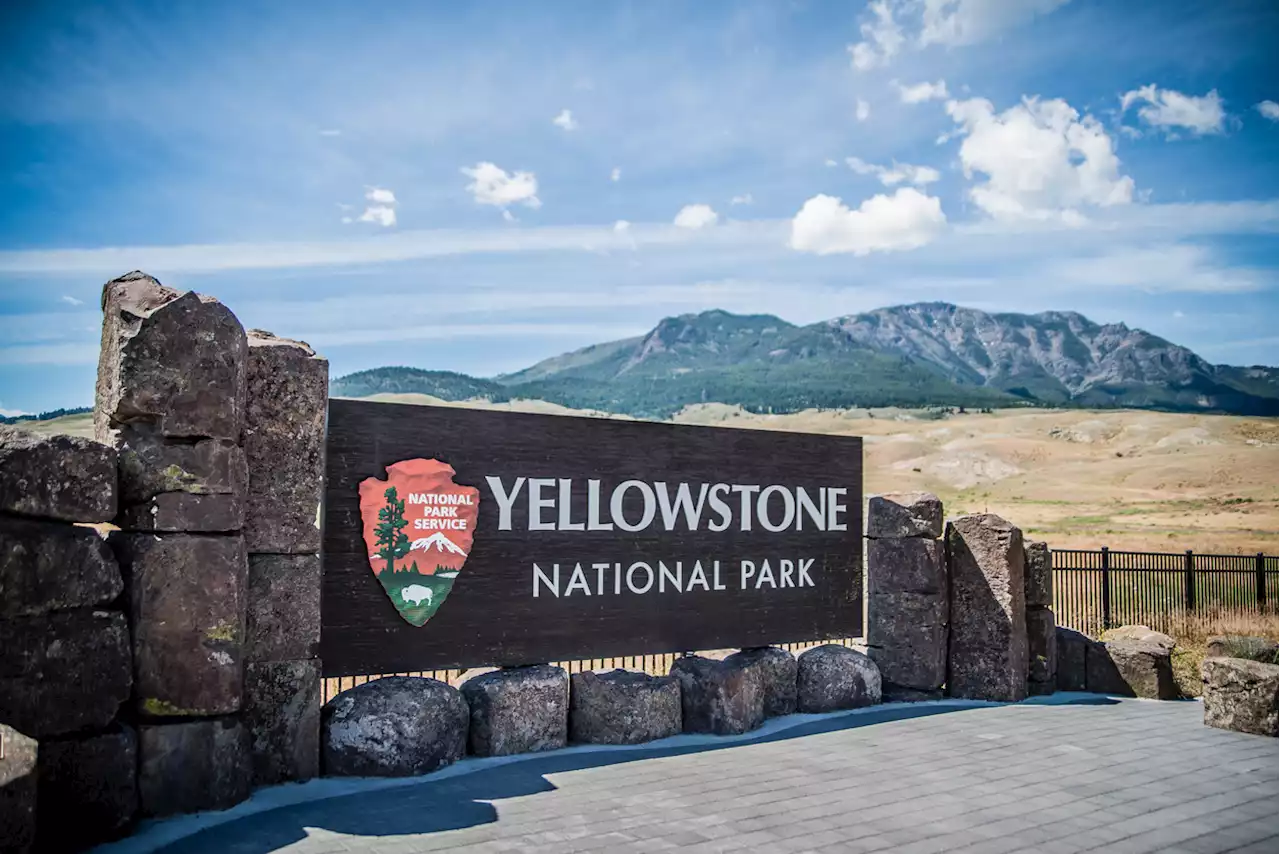 Yellowstone Officials Issue Alert on 'Unpredictable' Threat — Best Life
