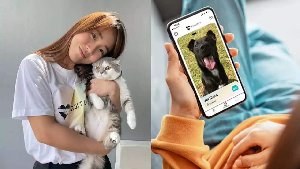 Looking to adopt a dog or cat? This millennial wants to simplify the process with a matchmaking app