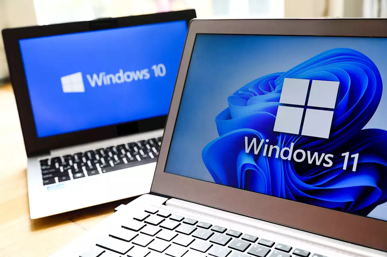 Windows 11 pulls ahead of Windows 10 in a key test | Digital Trends