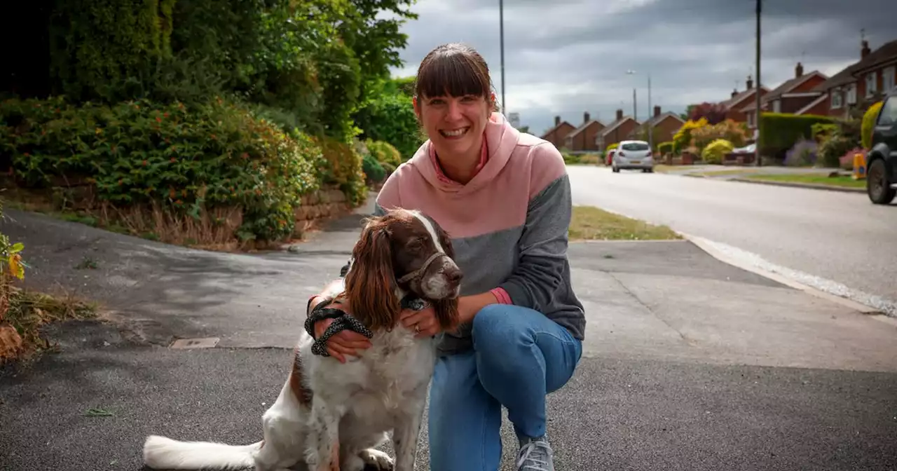 Dog walkers furious as they could face fine over waste bags