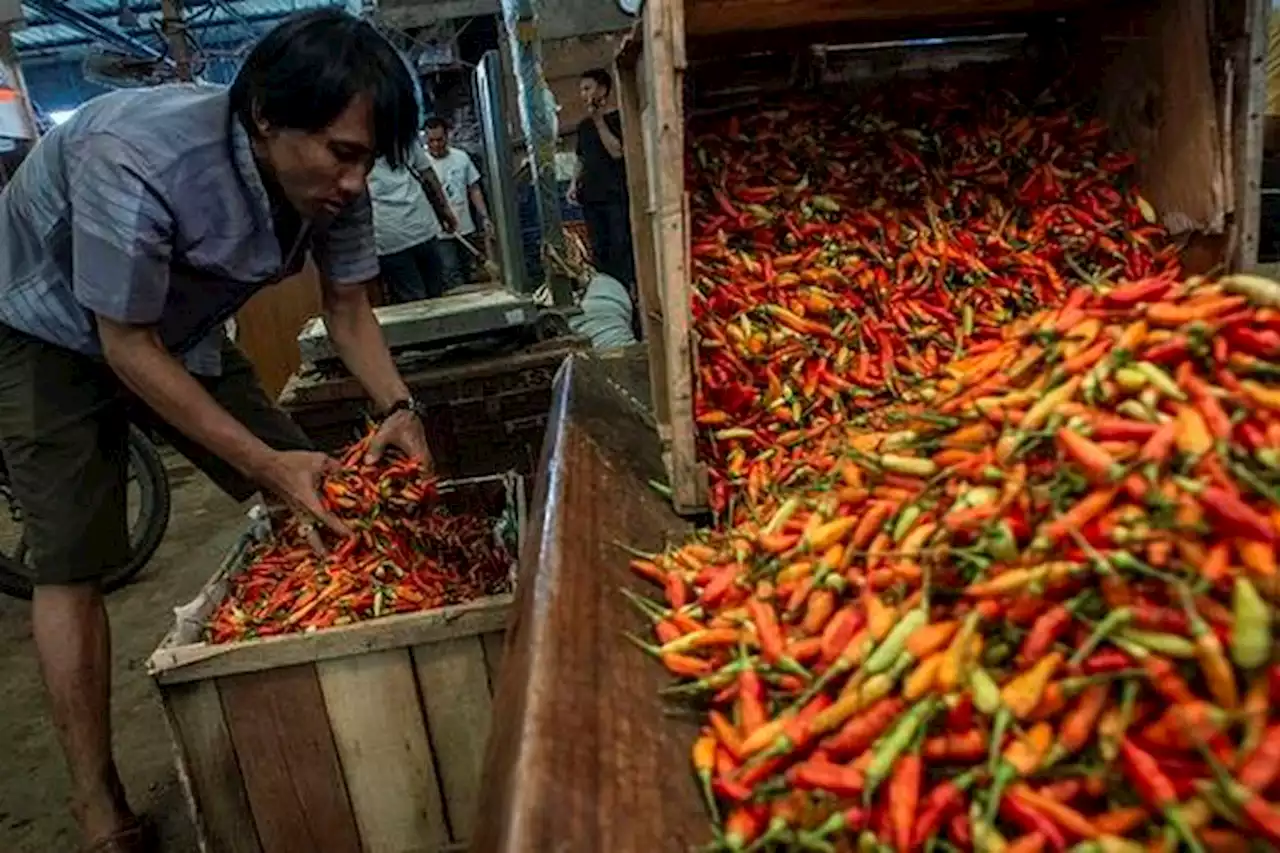 Asyik! Harga Cabai Mulai Turun, Kini Hanya RP70 Ribuan per Kg - Pikiran-Rakyat.com