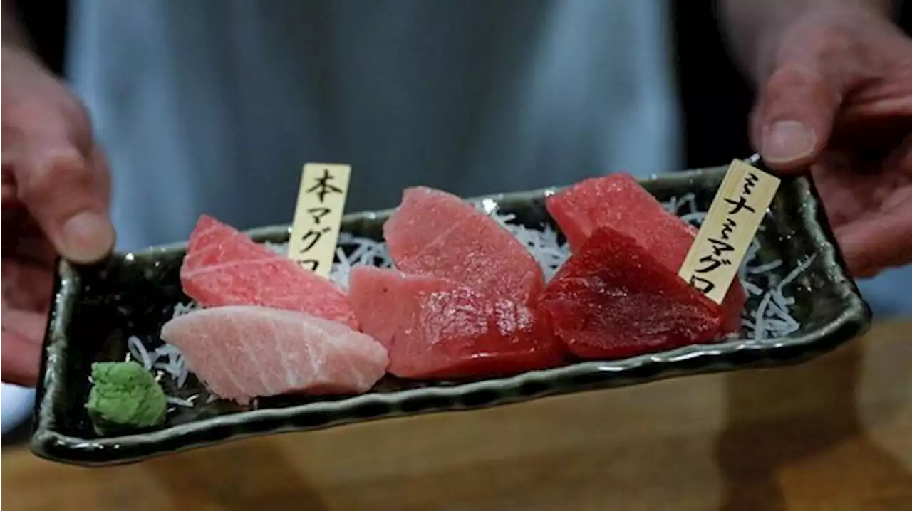 Makan Ikan Mentah, Jenis Ikan Apa Saja Cocok untuk Sashimi?