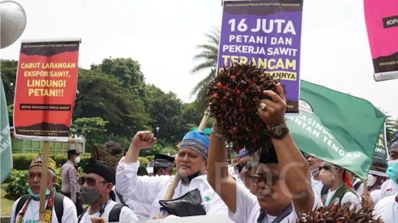 Pabrik Pengolahan Minyak Mentah Beli Sawit Petani di Bawah Rp 1.000