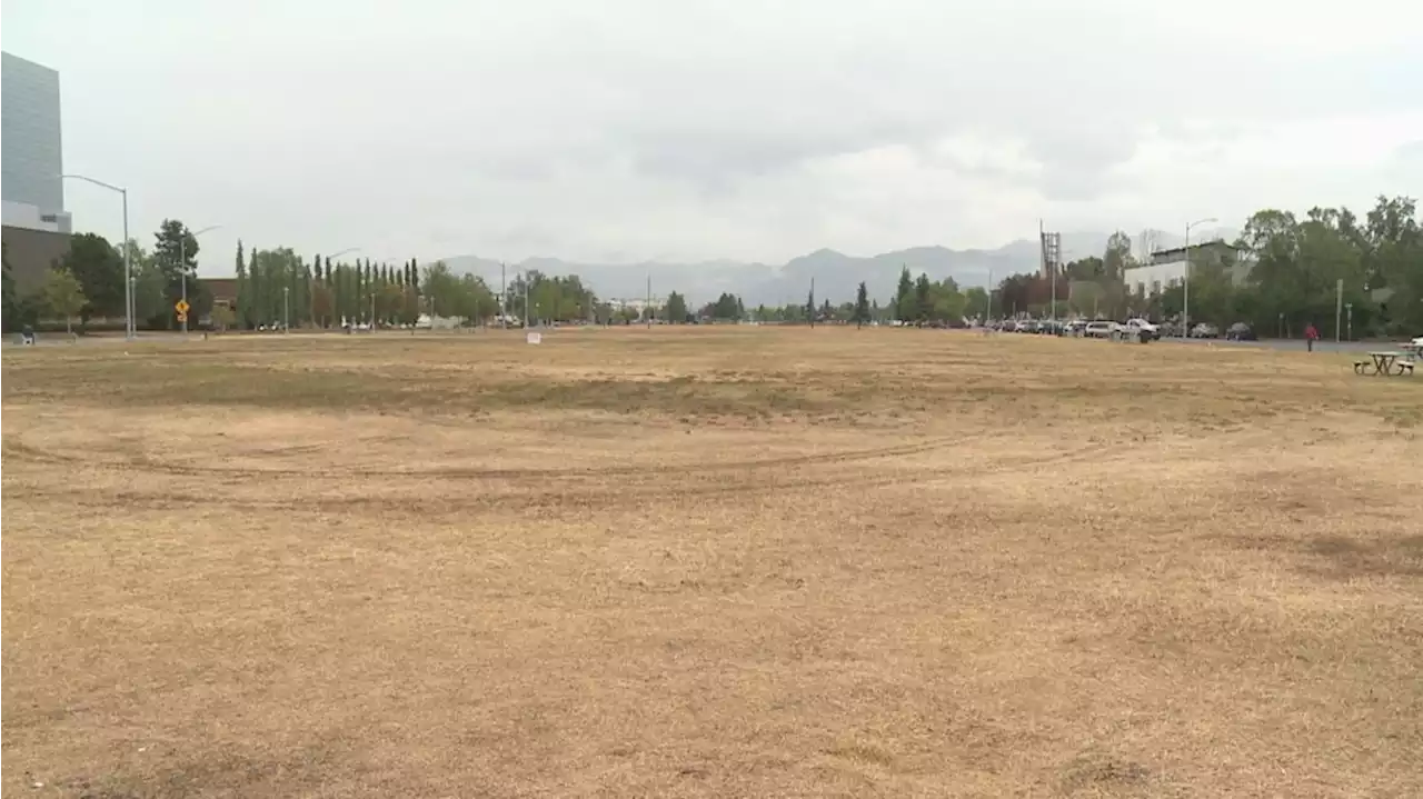 Dry summer leads muni to start watering Delaney Park Strip