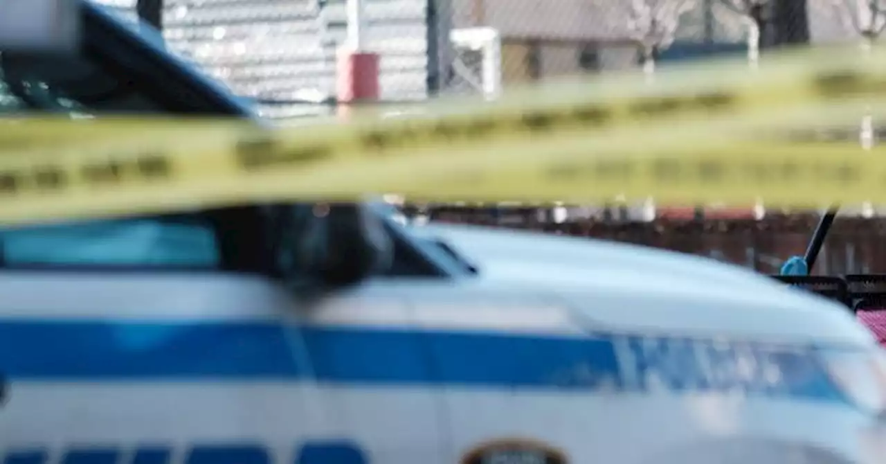 WATCH: Suspect Fleeing Cops Jumps Off NYC Subway Tracks to Rooftop