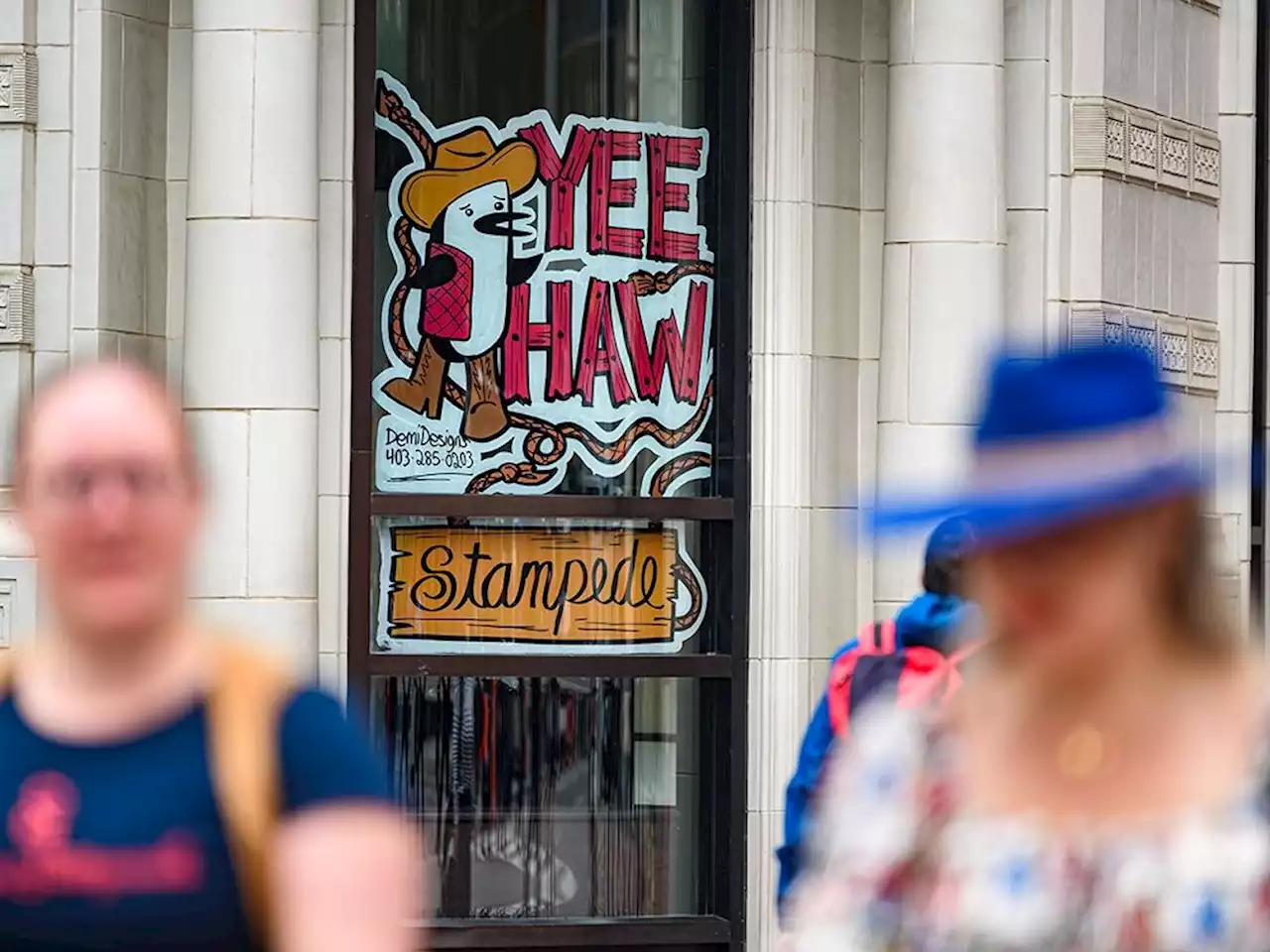 Stampede ready to roar to full strength with Sneak-a-Peek night