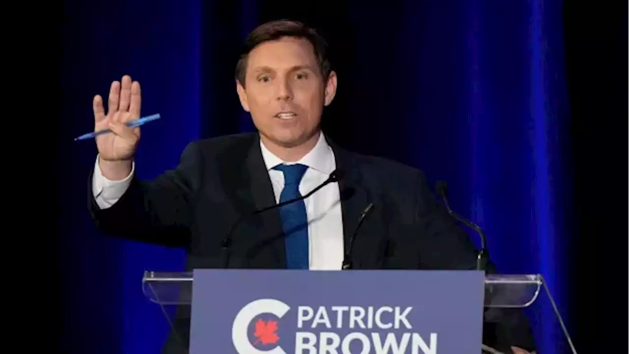 Conservative whistleblower says she discussed 3rd-party payment with Patrick Brown | CBC News