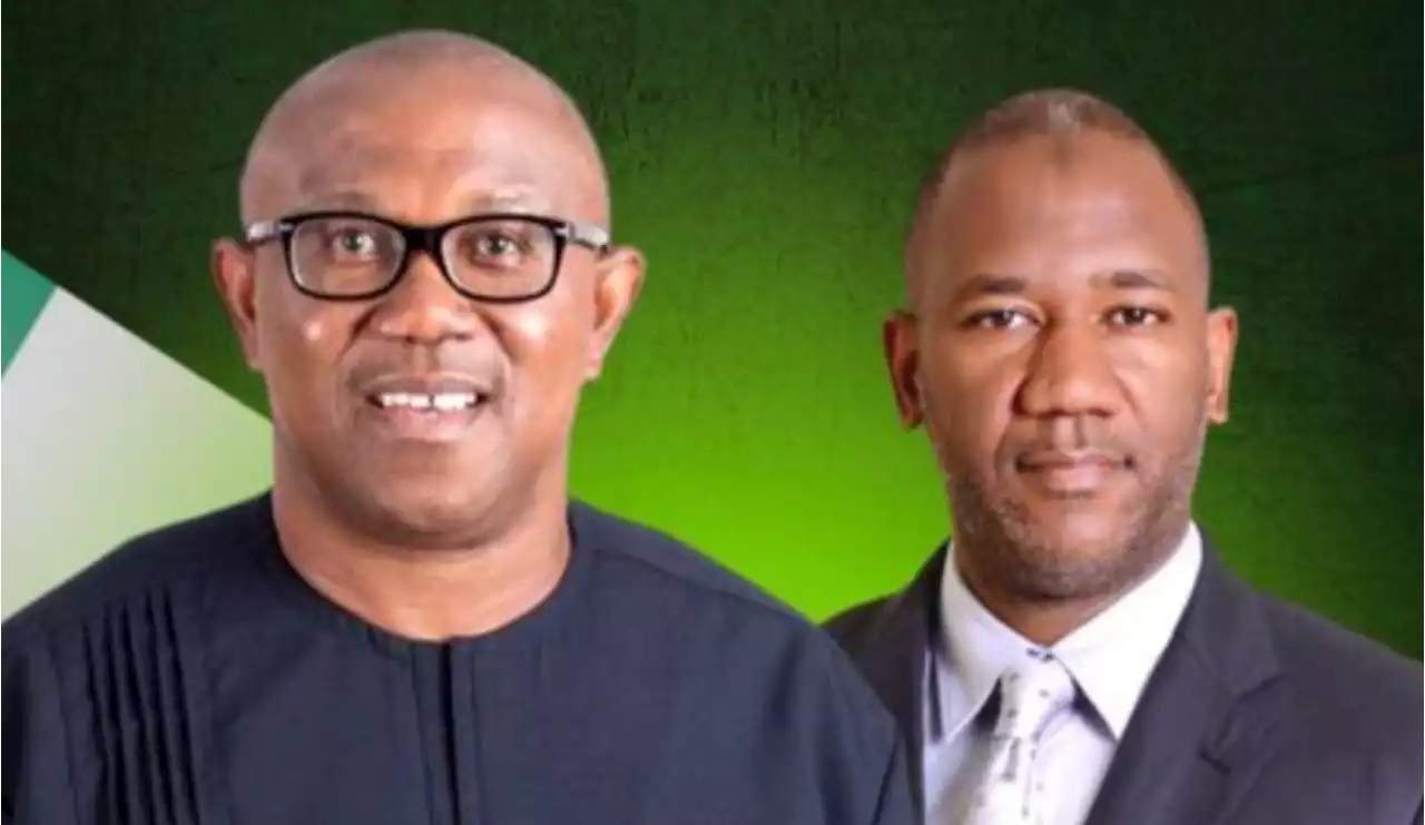 JUST IN: Why I accepted to be Peter Obi's running mate - Dati Baba-Ahmed