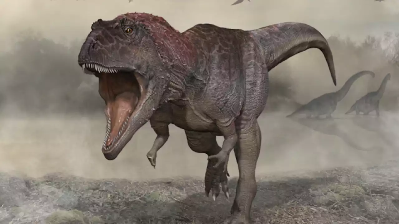 Newly discovered 'tiny armed' dinosaur is 30 million years older than T. Rex