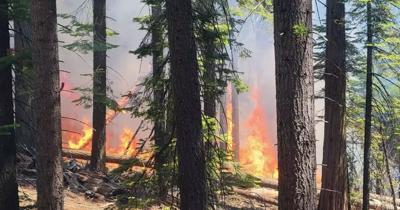 Wildfire burning inside Yosemite National Park forces partial closure