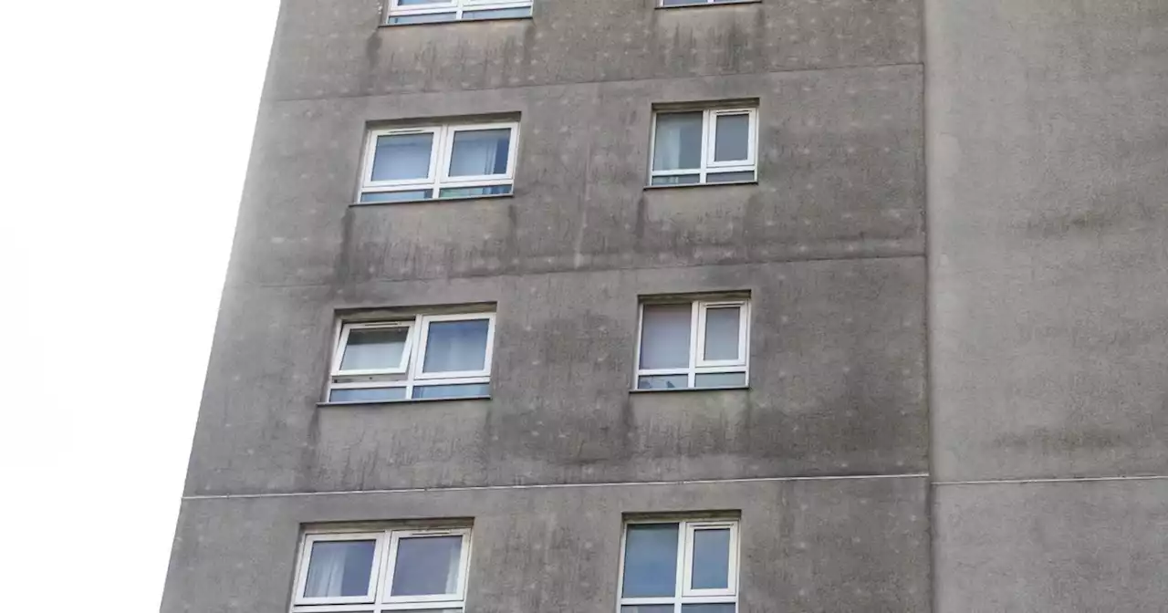 Mum of baby who died in tower block fall 'asked council for repairs'