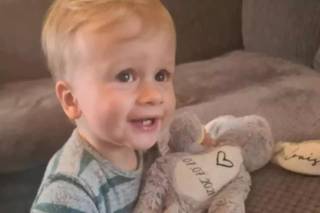 Jet2 reunites toy bunny with heartbroken birthday boy following flight from Leeds Bradford Airport