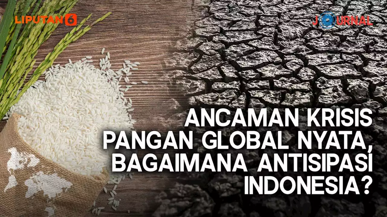 Journal: Ancaman Krisis Pangan Global Nyata, Bagaimana Antisipasi Indonesia?