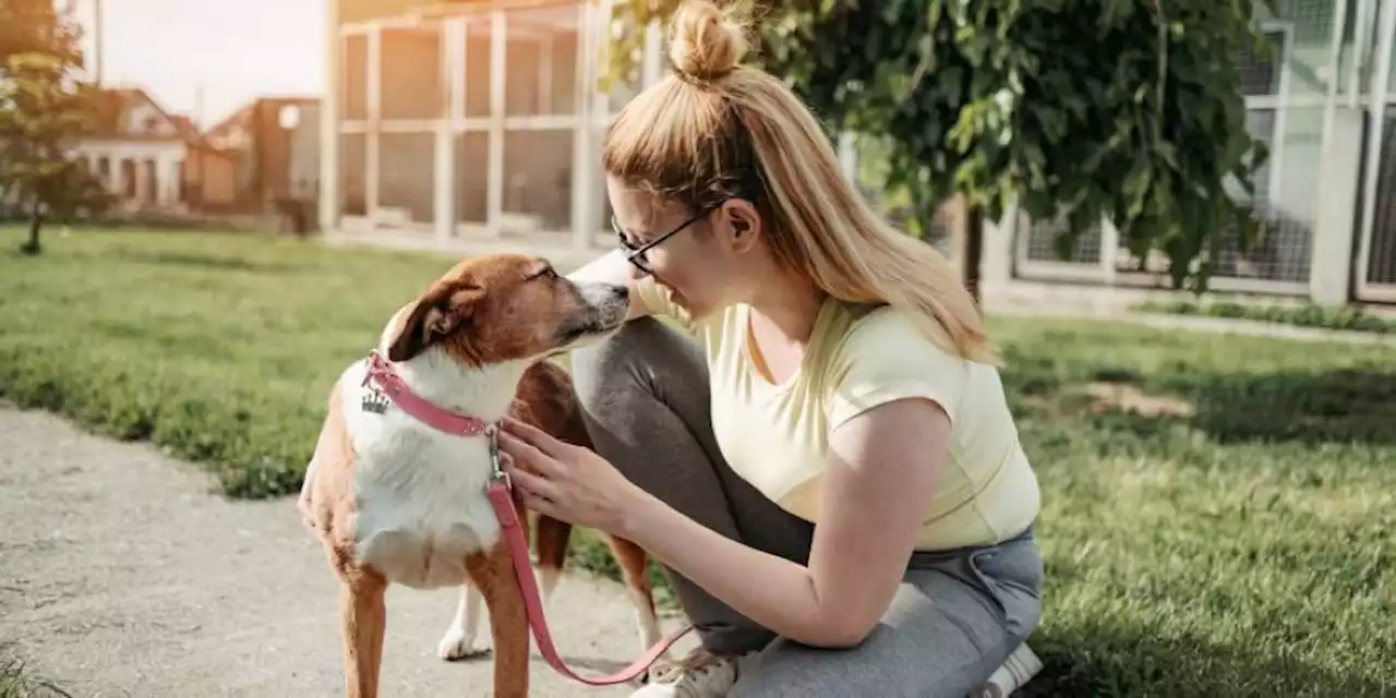 Science confirms that dogs make residential neighbourhoods safer