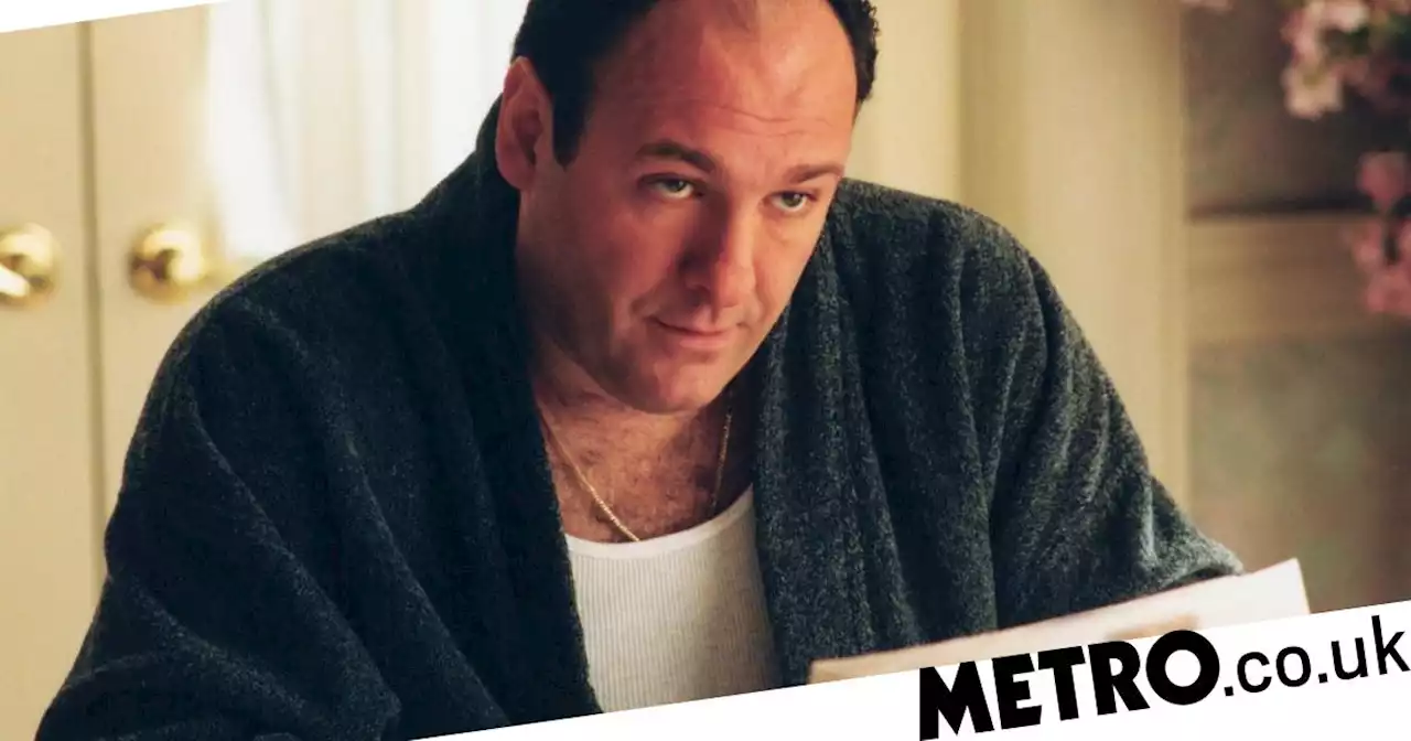 James Gandolfini's age when he started The Sopranos has spun everyone out