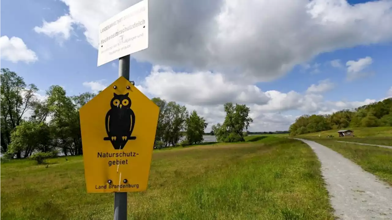 Naturschützer auf den Spuren von Großtrappen und Knabenkraut