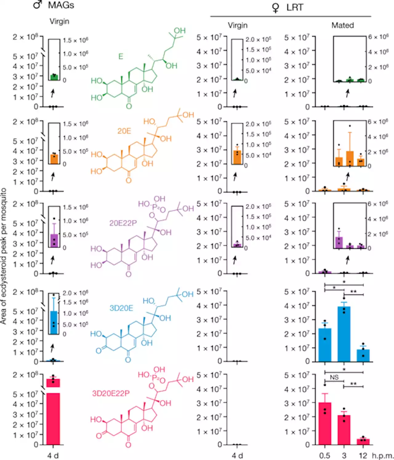 A male steroid controls female sexual behaviour in the malaria mosquito - Nature