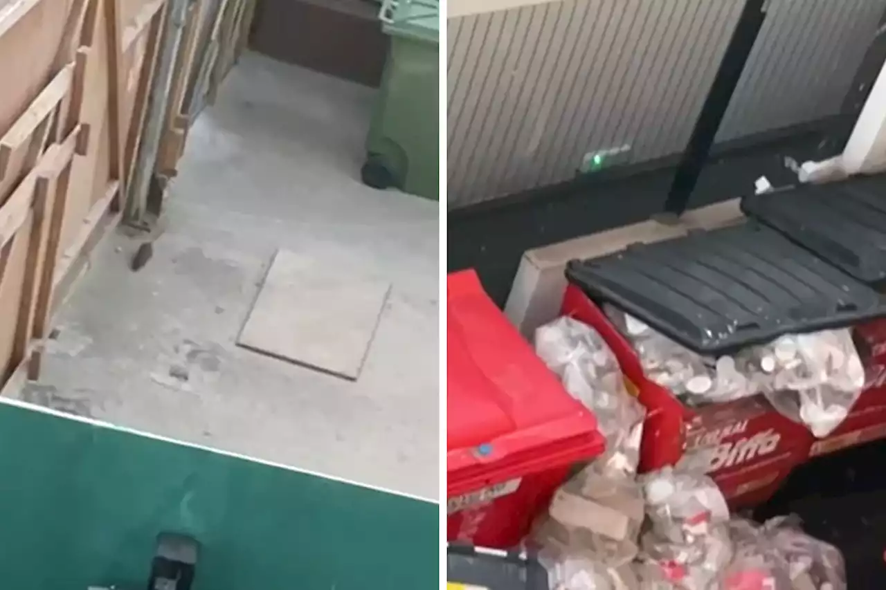 Watch: New video emerges of town centre rat 'infestation'