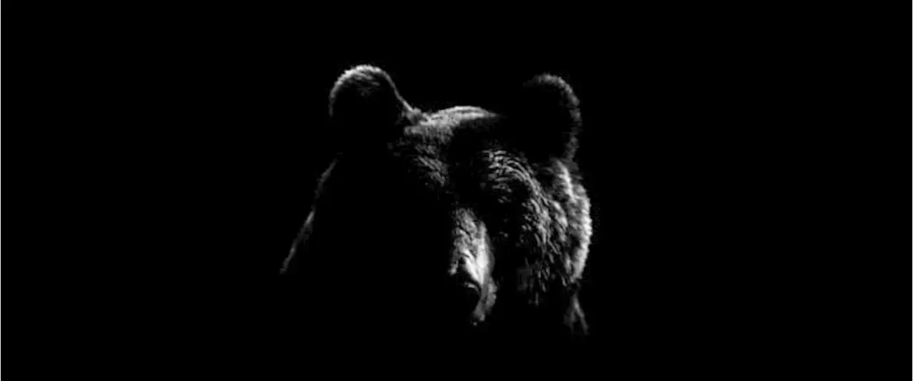 Oil Enters A Bear Market As Recession Fears Grow | OilPrice.com