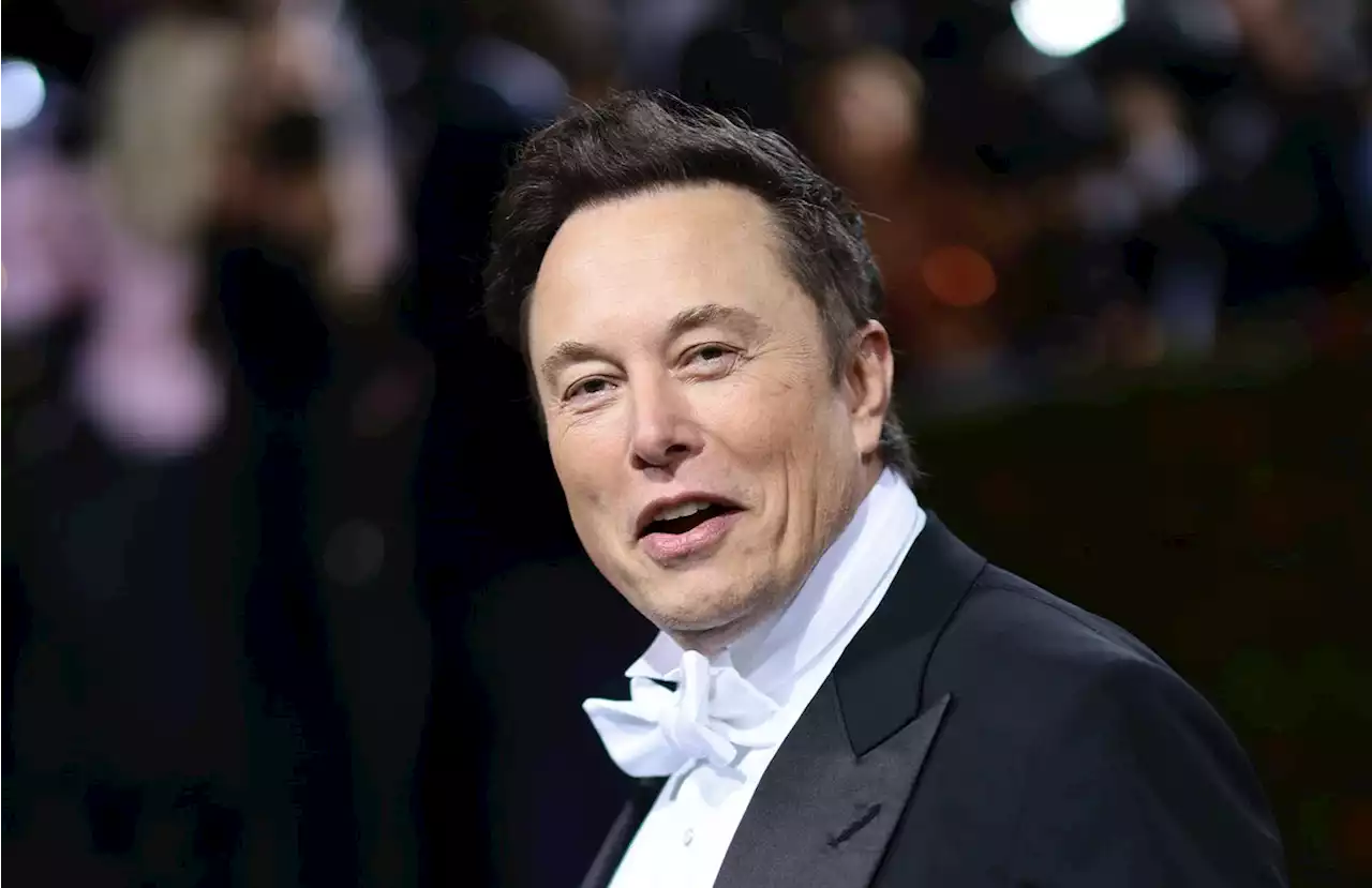 Elon Musk Tweets About 'Underpopulation Crisis' Amid Report He Fathered Twins With Shivon Zilis