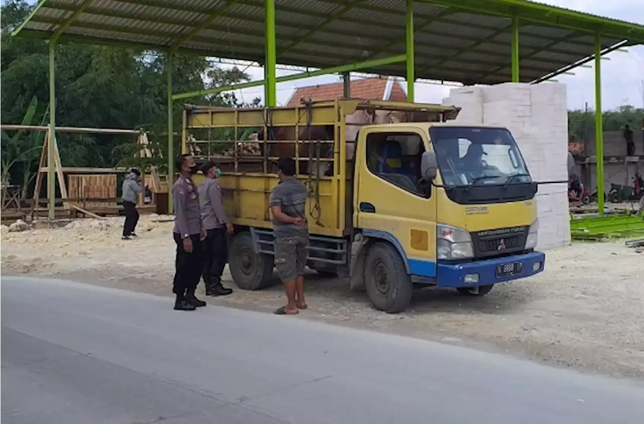 Cegah PMK di Grobogan, Pengawasan Lalu Lintas Ternak Diperketat