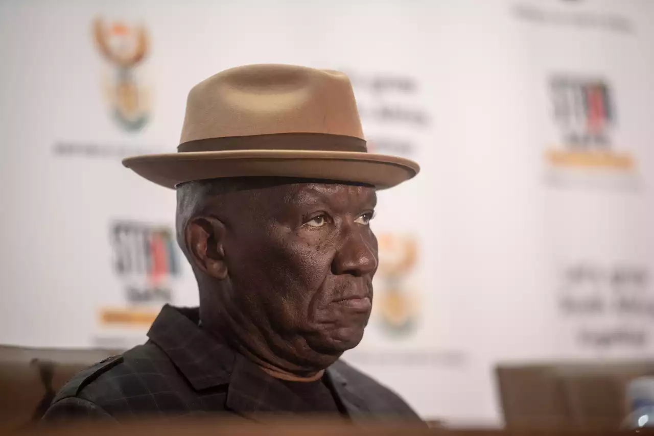 Cameron failed to return same respect given to him, says Cele | The Citizen