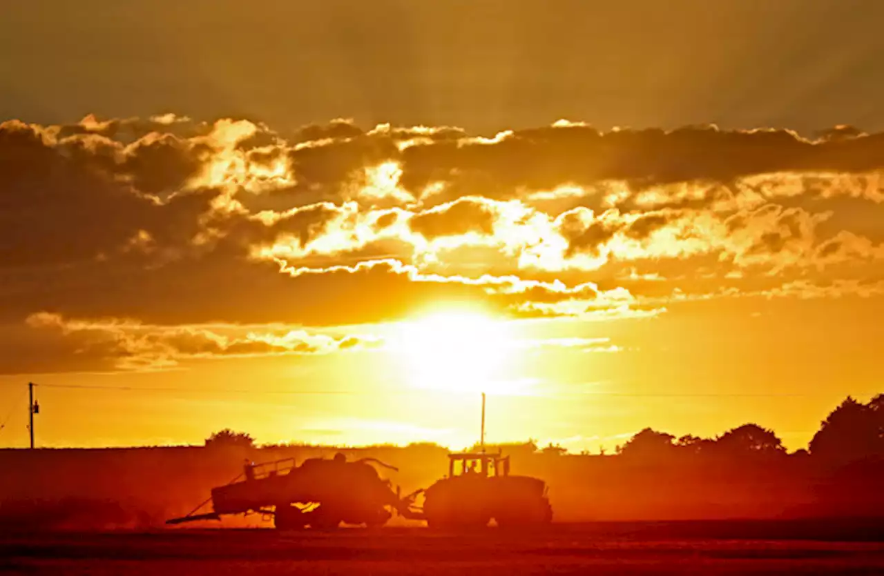‘Settled and warm’ weekend forecast with hottest day of the year predicted for Monday