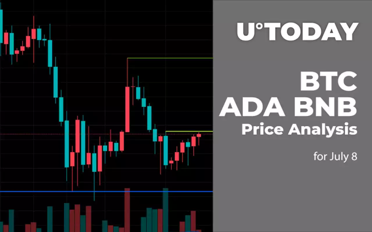 BTC, ADA and BNB Price Analysis for July 8