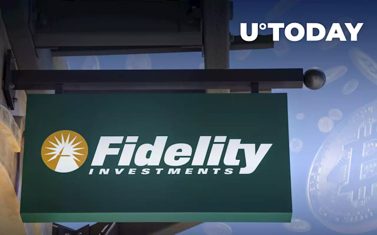 Fidelity's Timmer: Bitcoin Is Cheap, Ethereum Is Even Cheaper