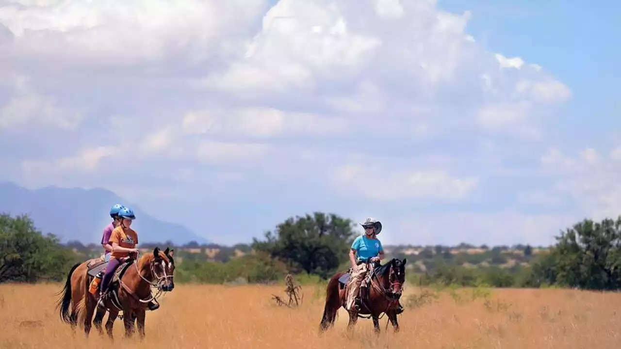 Inflation leading to horses going to an Arizona rescue ranch