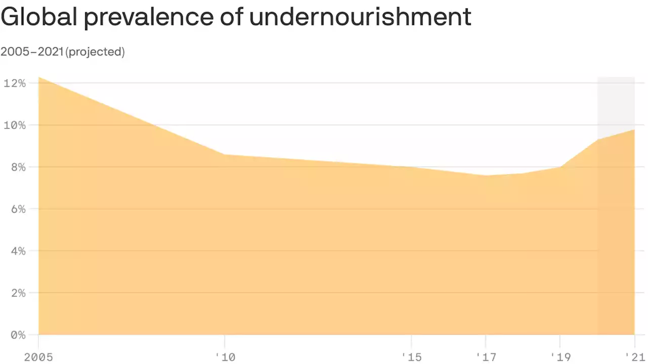 'Looming catastrophe': Global hunger is on the rise