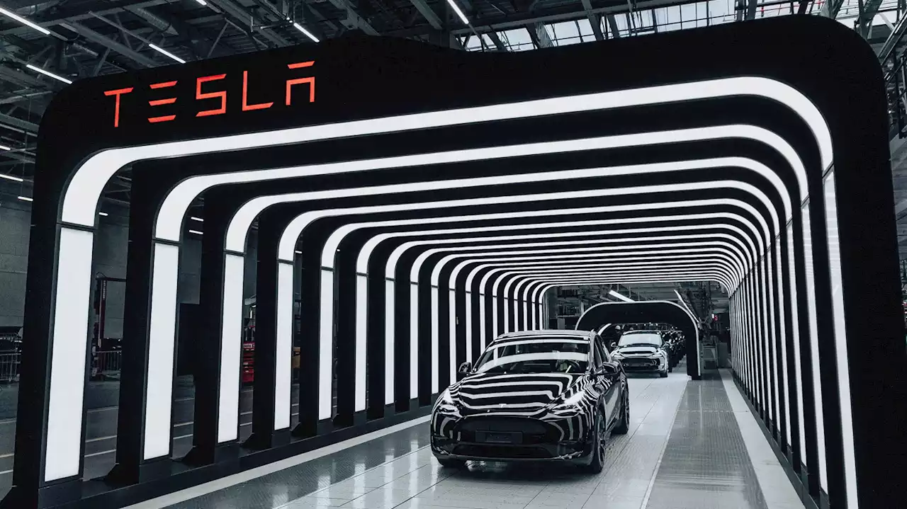 Tesla-Fabrik verhindert Bau von neuer Schule