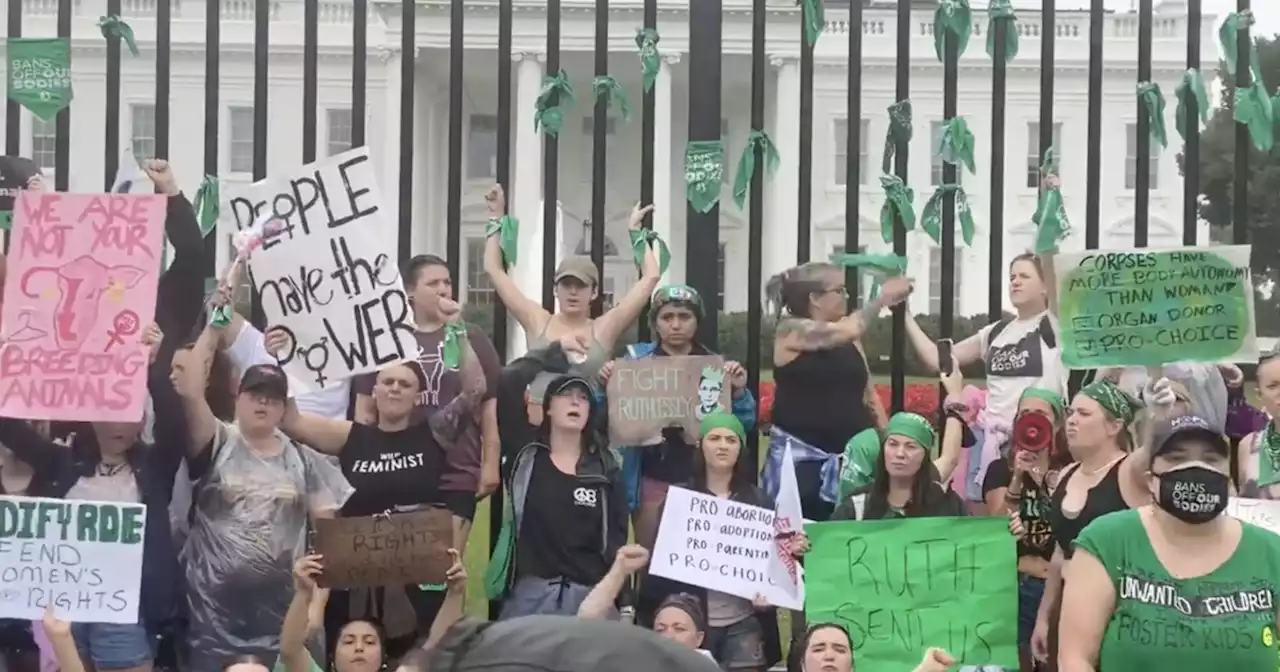 Women's March: Abortion rights activists tie themselves to White House fence during protest