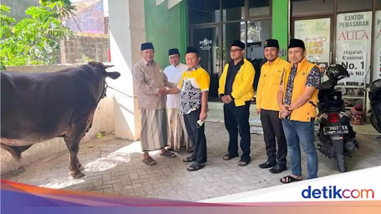 Golkar Jatim Serahkan Hewan Kurban Sapi ke PWNU dan PW Muhammadiyah