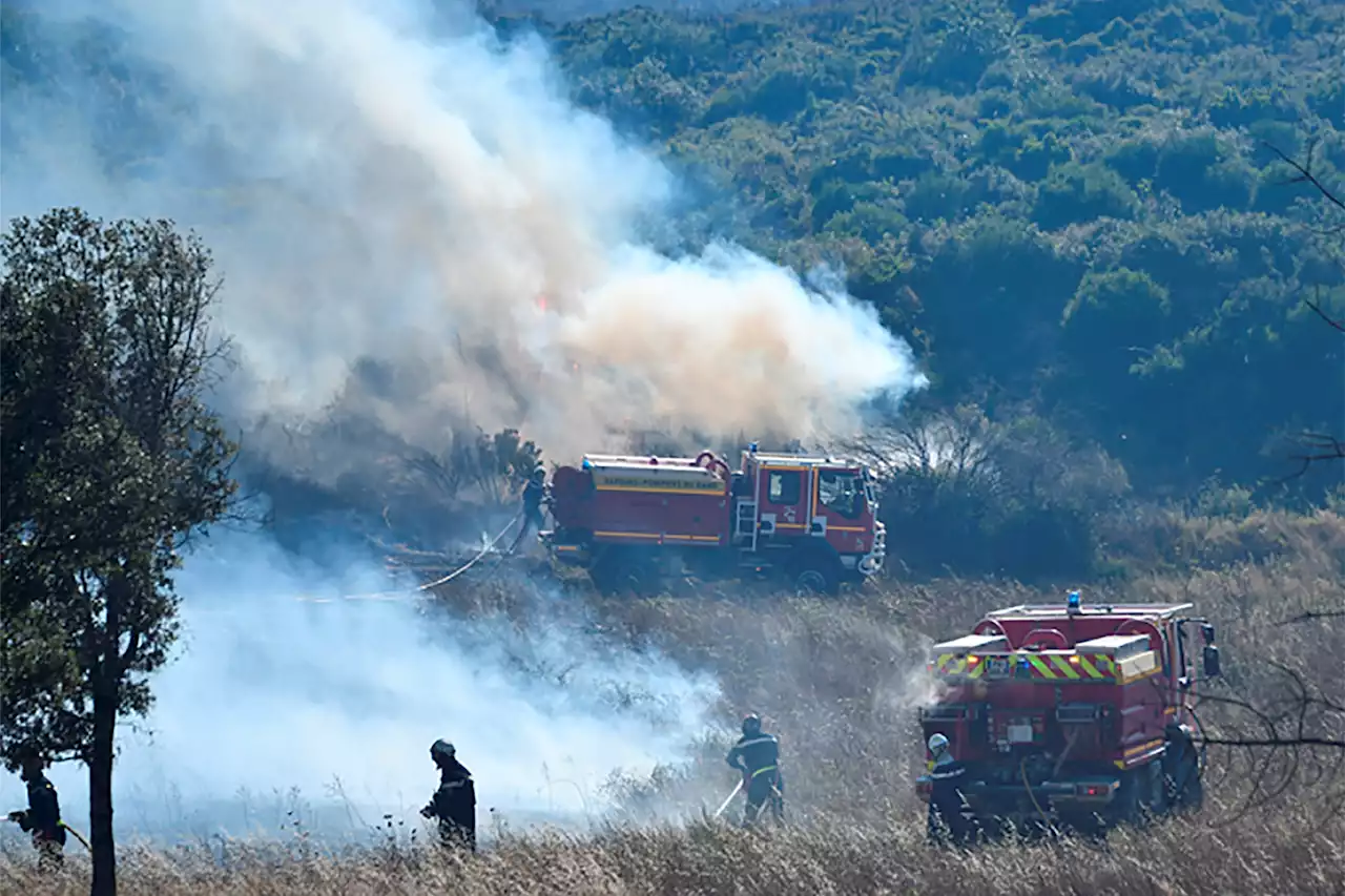 Frankreich - Hunderte Feuerwehrleute kämpfen gegen Waldbrände