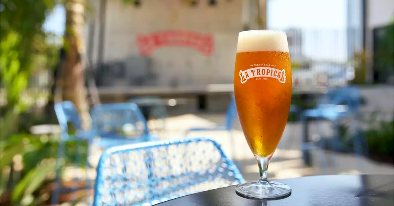 13 Breweries in South Florida for Crisp, Cold Beer