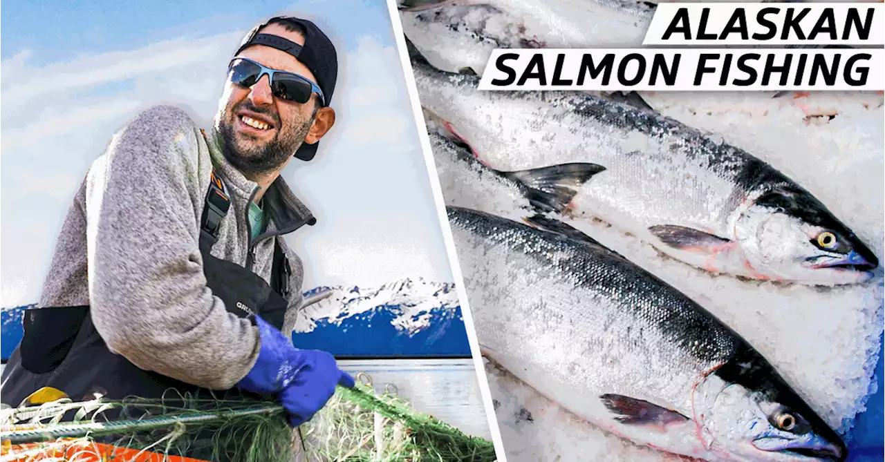 How an Expert Fisherman Catches Alaskan King Salmon