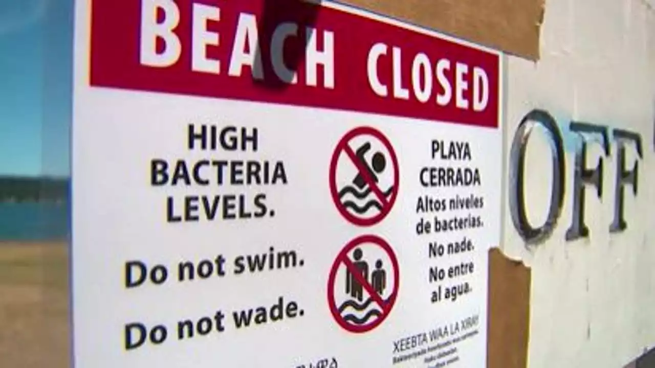 Beach at Island Lake County Park in Kitsap County closed due to high E. coli levels