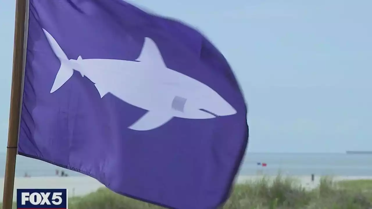 Another Long Island lifeguard bitten by shark