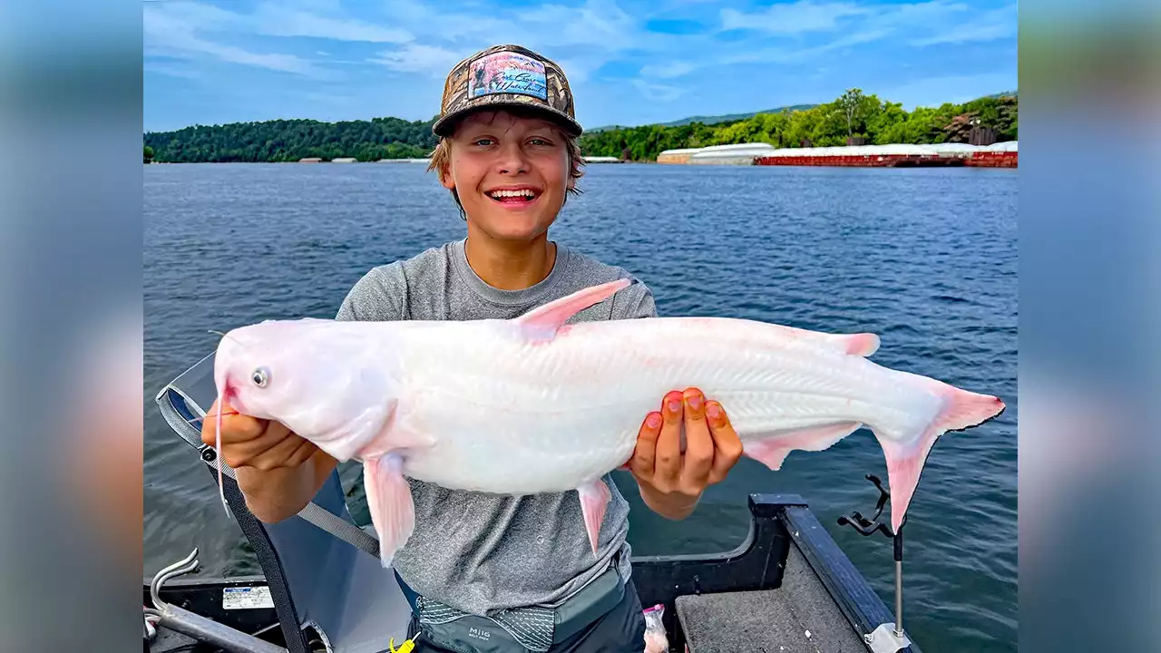 ‘Once-in-a-lifetime’ catch: Tennessee teen reels in rare white catfish