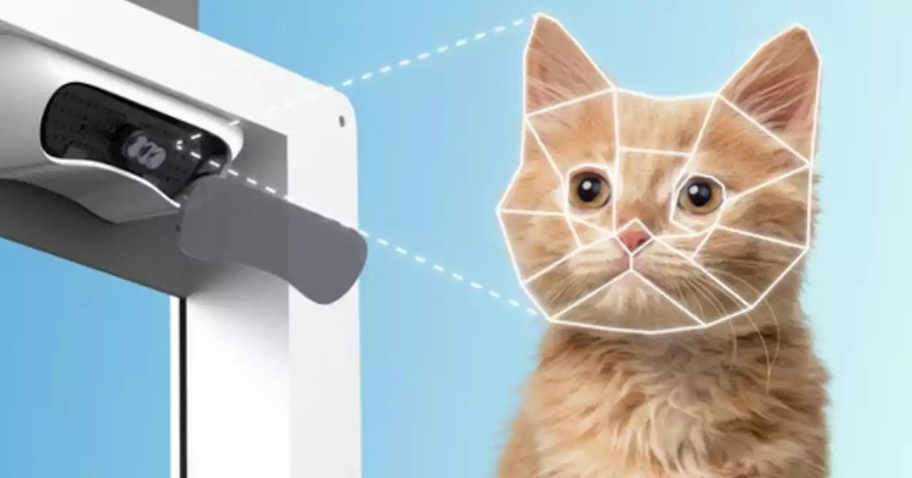 Smart Pet Door Uses Facial Recognition to Keep Strange Animals Out