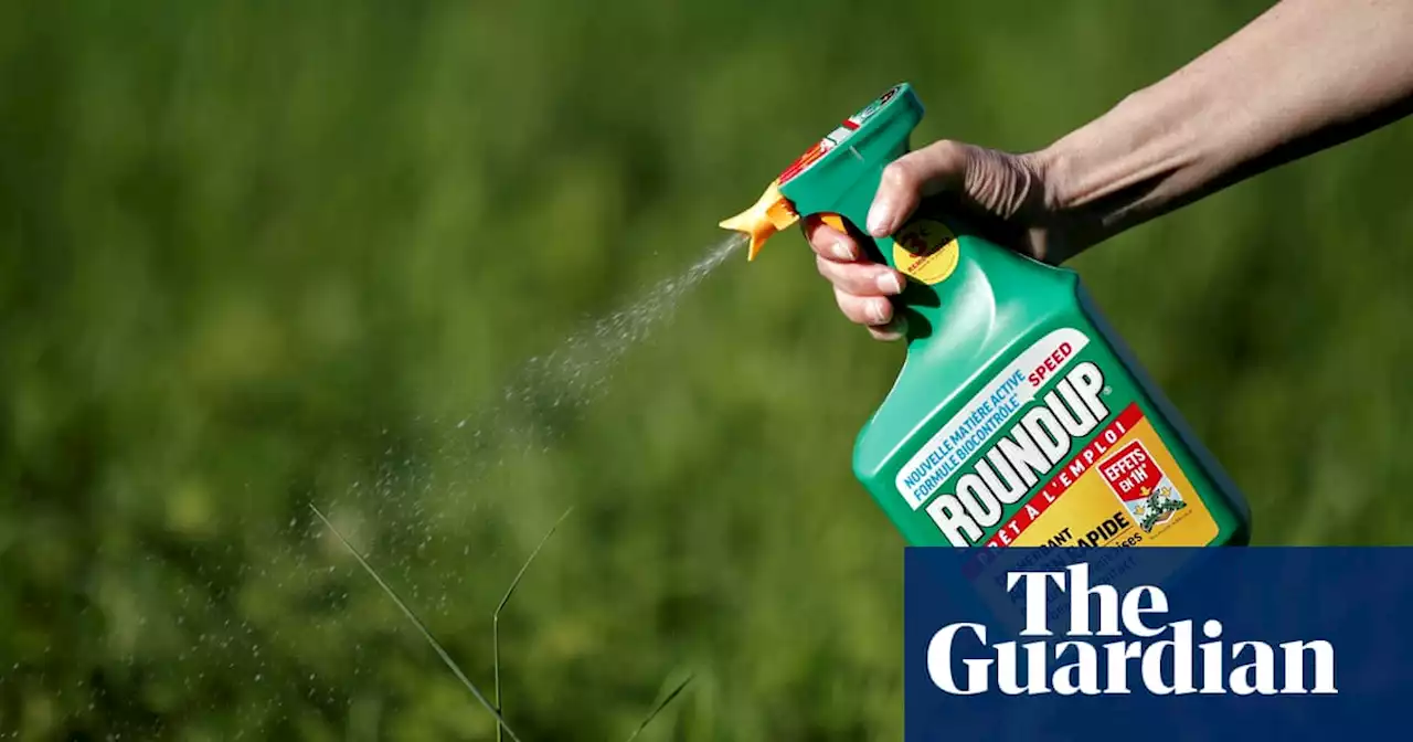 ‘Disturbing’: weedkiller ingredient tied to cancer found in 80% of US urine samples